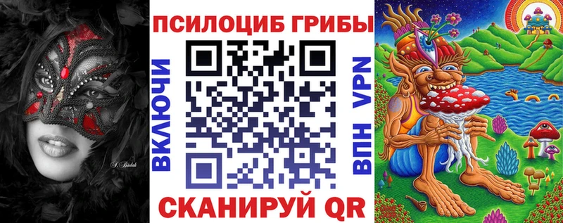 где найти наркотики  Кондрово  Псилоцибиновые грибы Magic Shrooms 